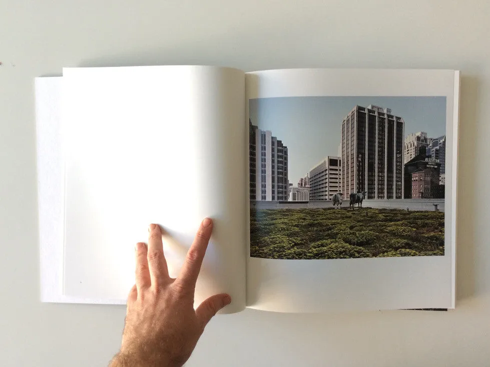 Brad Temkin: Rooftop